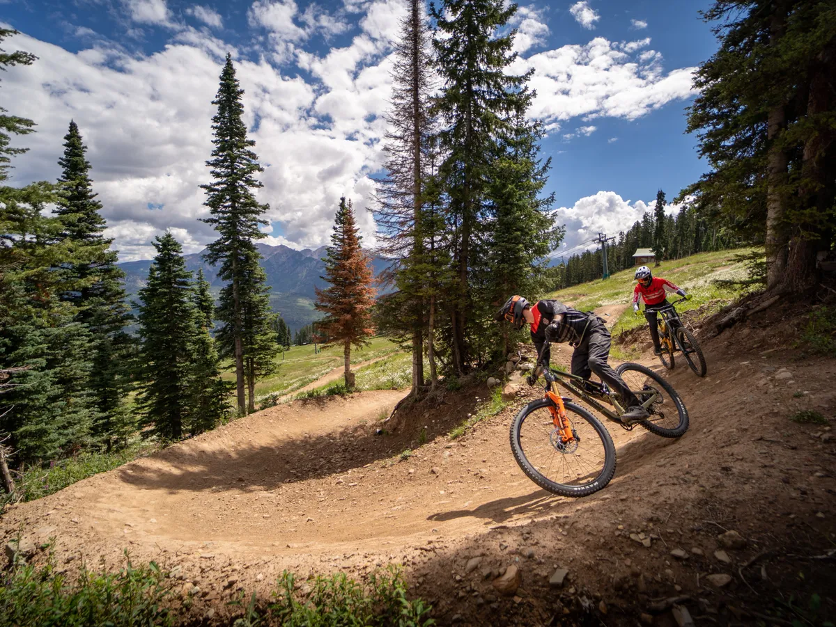 A group of mountain bikers ride along a winding trail surrounded by lush green trees with an impressive mountain backdrop under a clear blue sky. The energy of outdoor adventure is palpable, and the scene showcases the vast wilderness available for exploration.